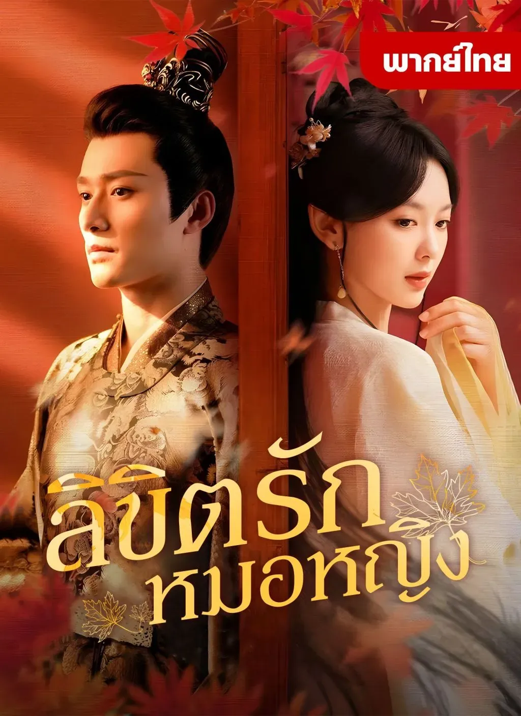 ลิขิตรักหมอหญิง