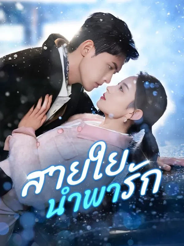 สายใยนำพารักsub